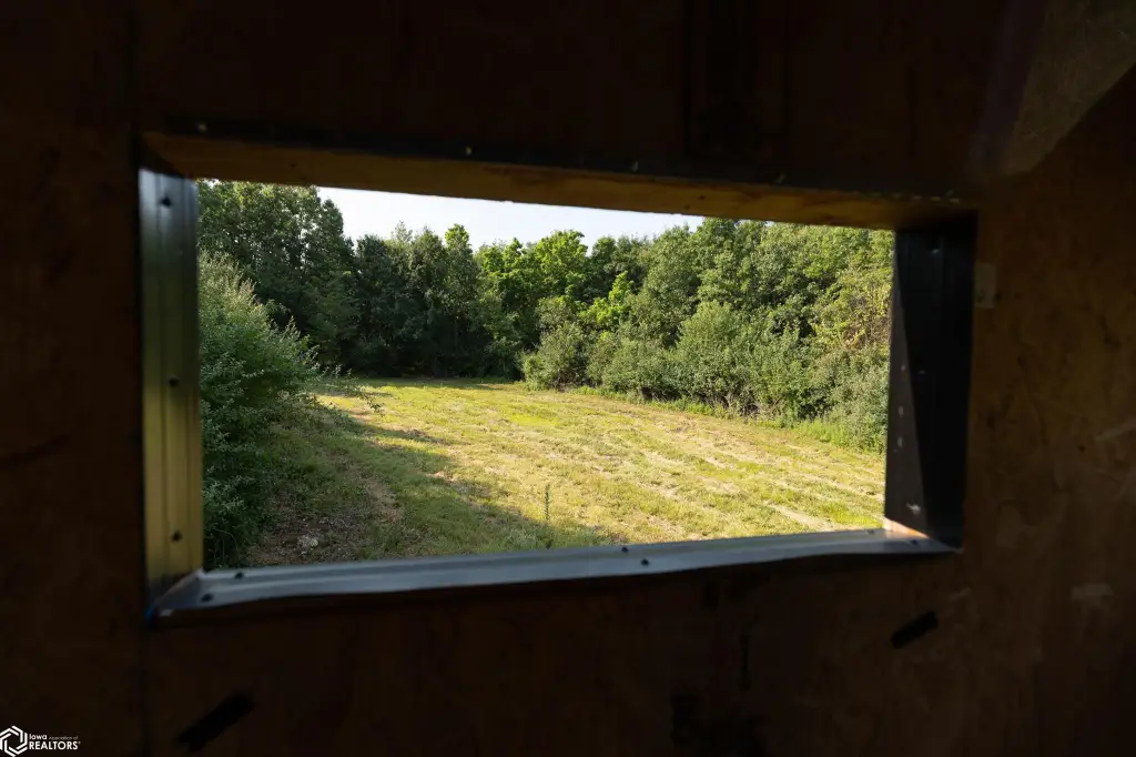 Picture 43