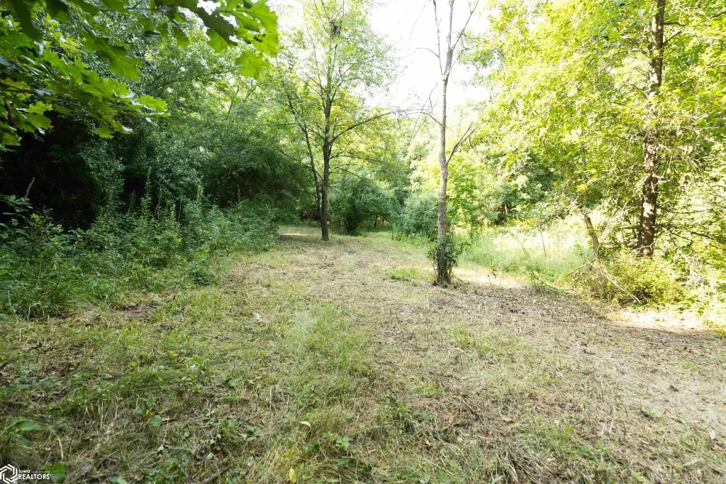 Picture 14