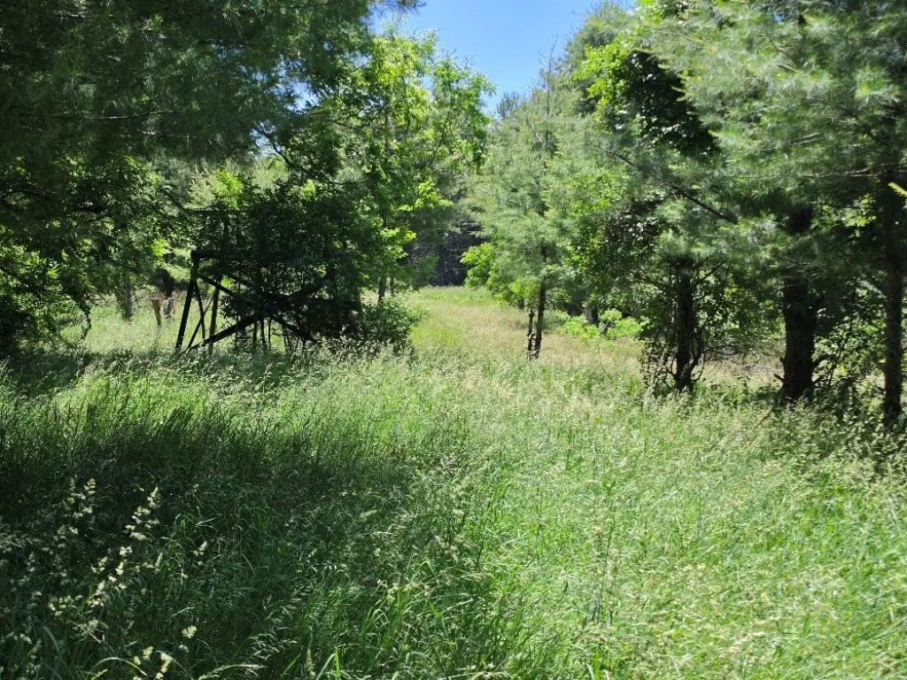 Picture 6