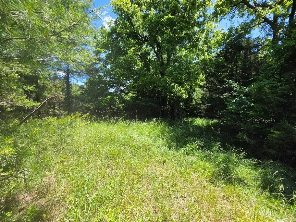 Picture 7