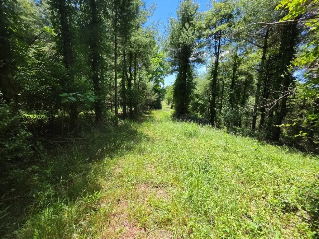 Picture 5