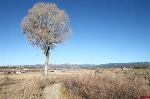 Unencumbered Land with Development Potential