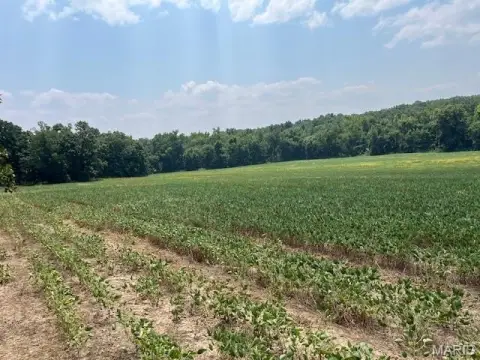 56 Acres of Farmland