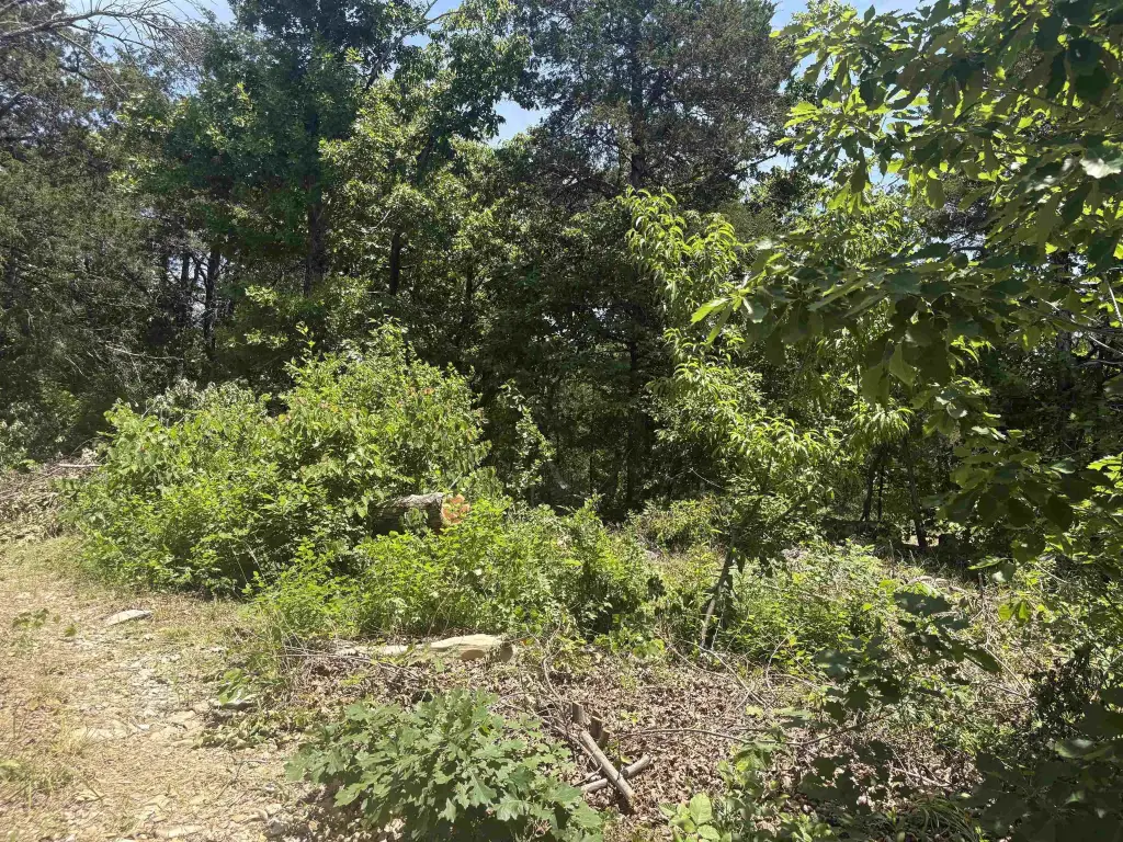 Picture 15