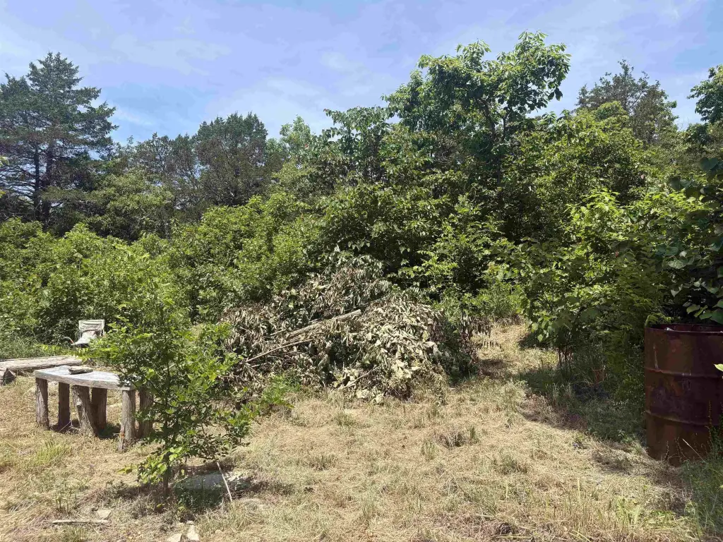 Picture 19
