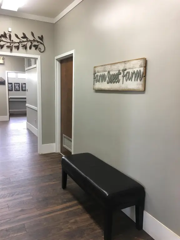 Picture 6