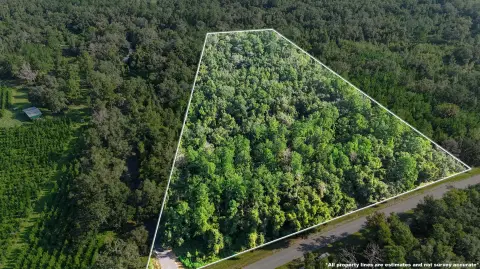 Wooded Land Tract