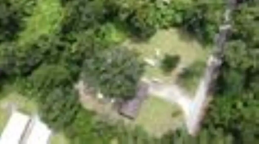 Picture 4