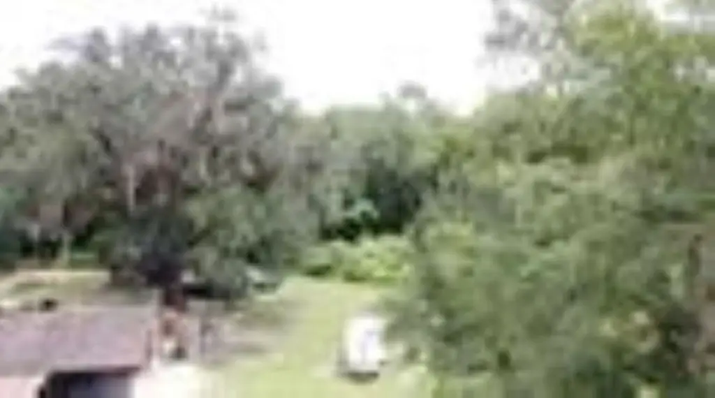 Picture 20