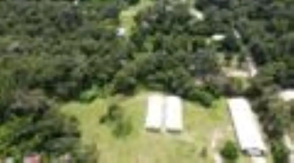 Picture 19