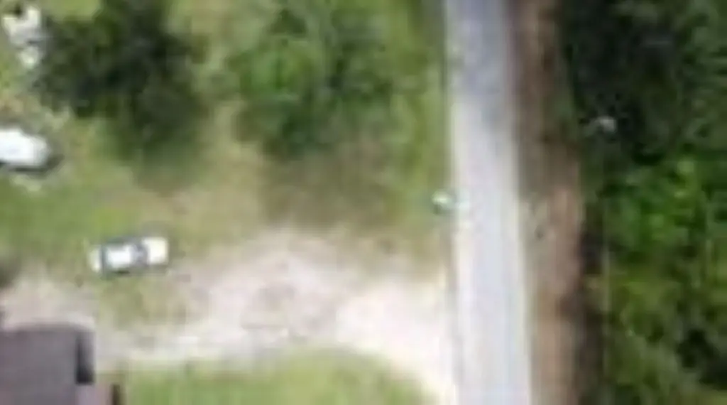 Picture 7