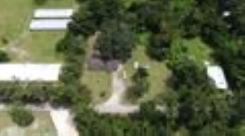 Picture 14