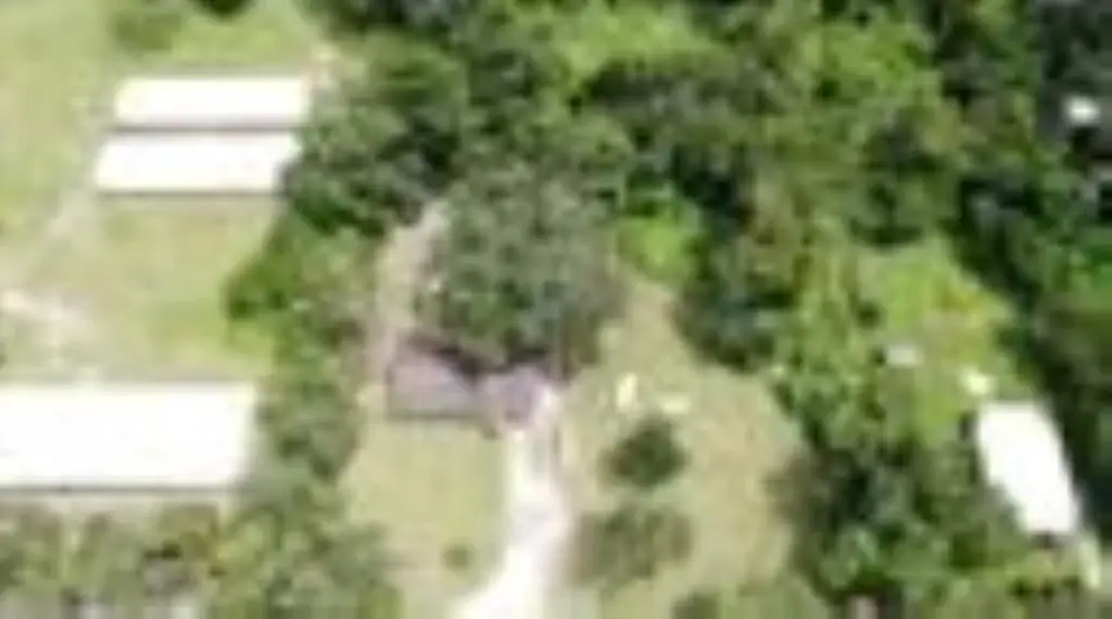 Picture 13