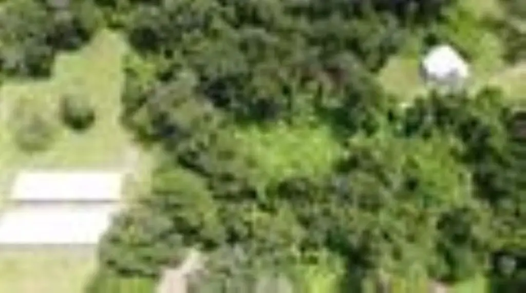 Picture 16