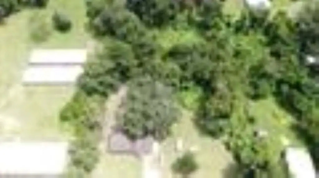 Picture 15