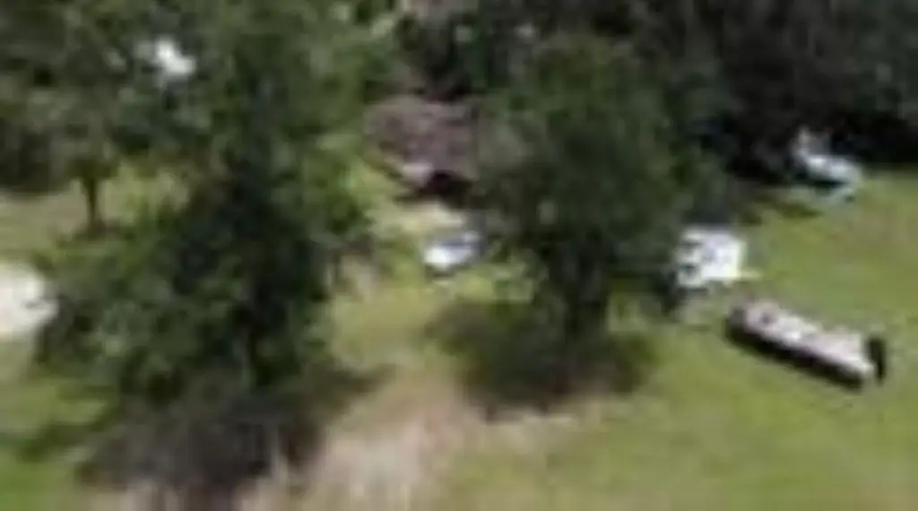 Picture 11