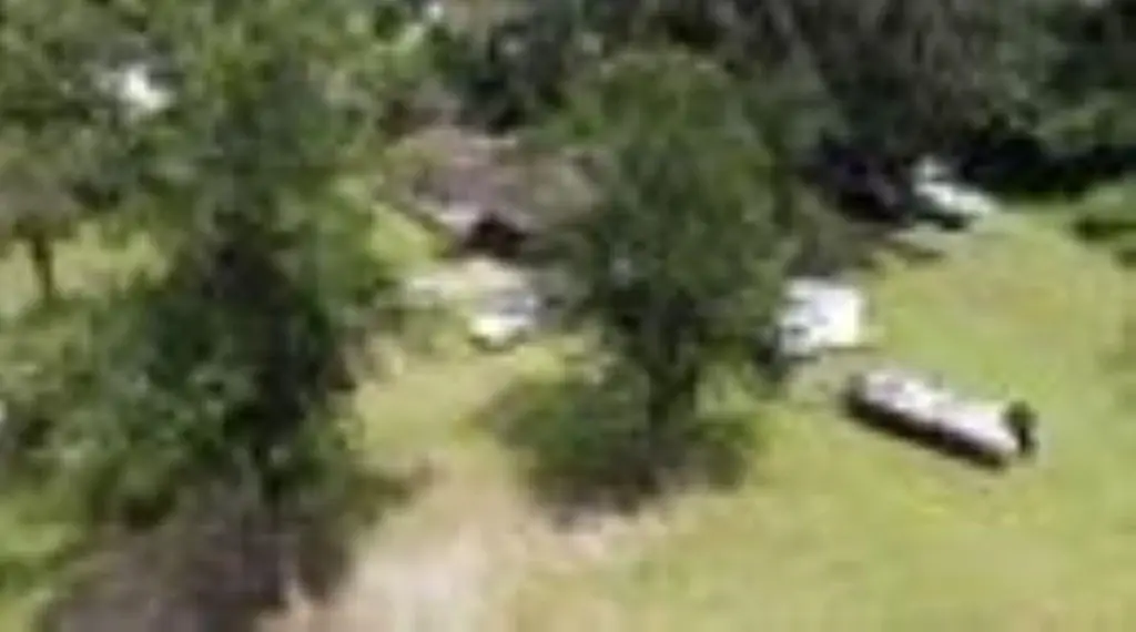 Picture 3