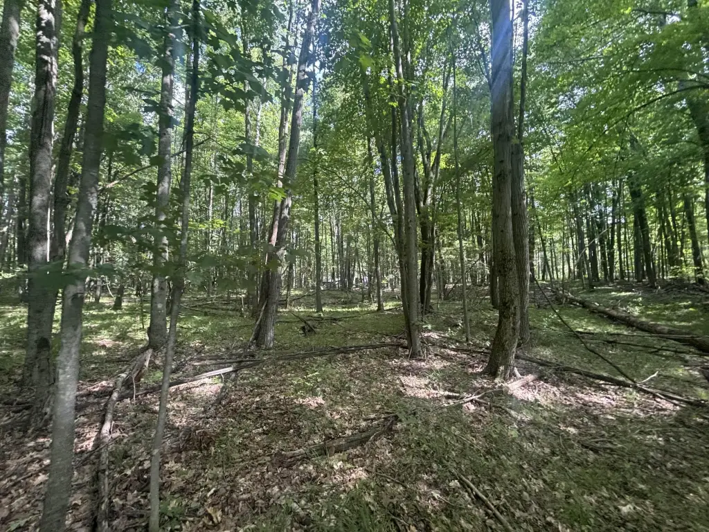Picture 25