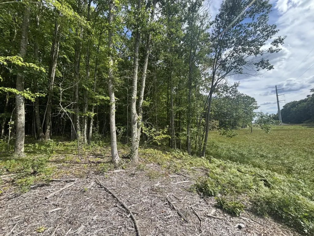 Picture 20