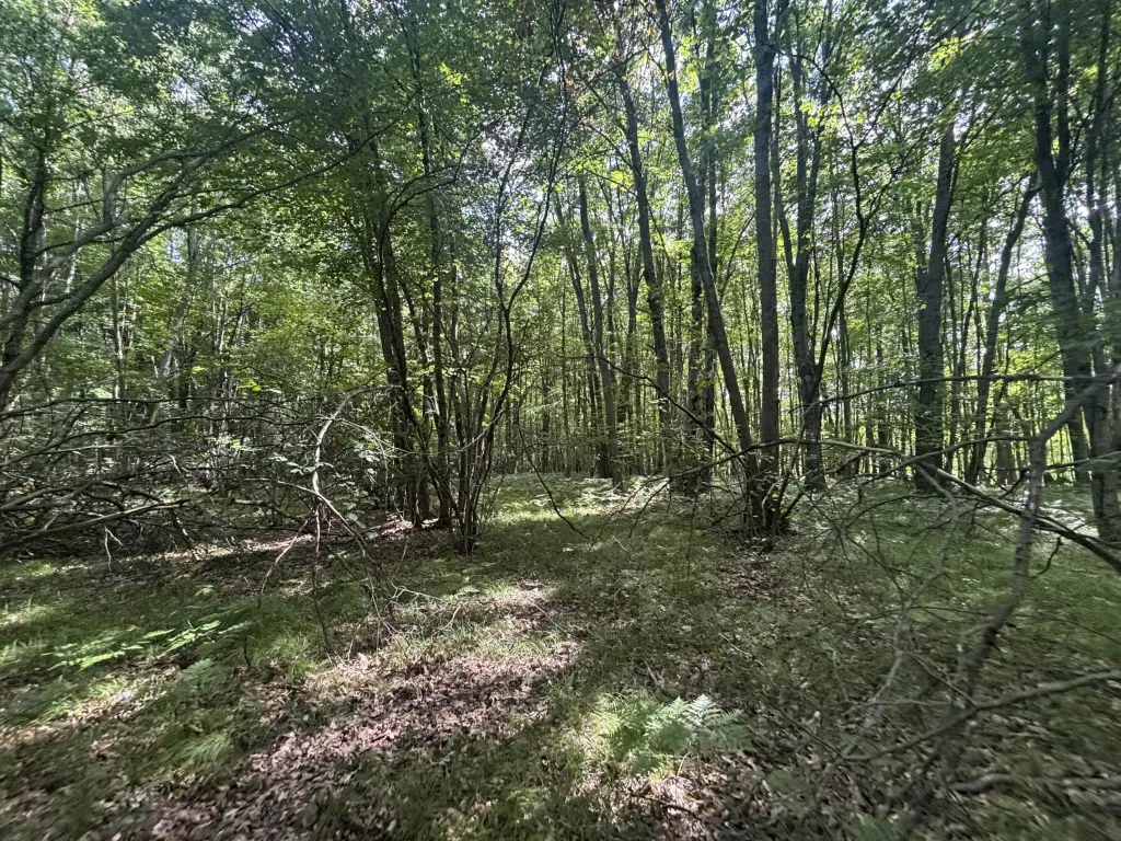 Picture 14
