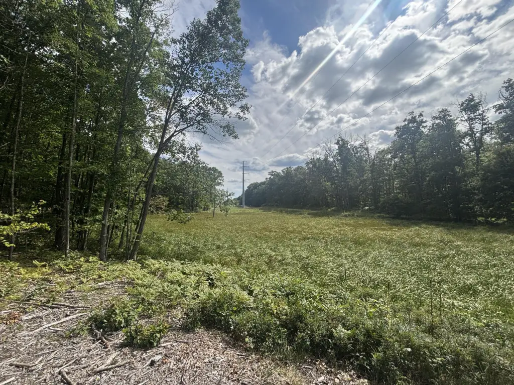 Picture 19
