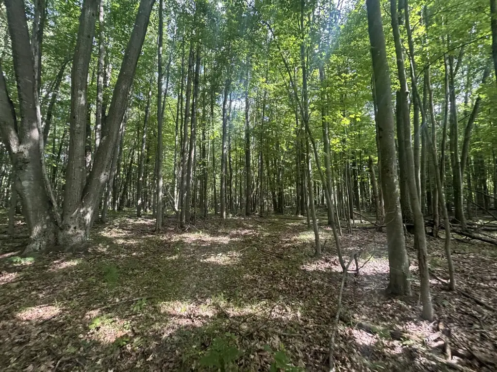 Picture 23