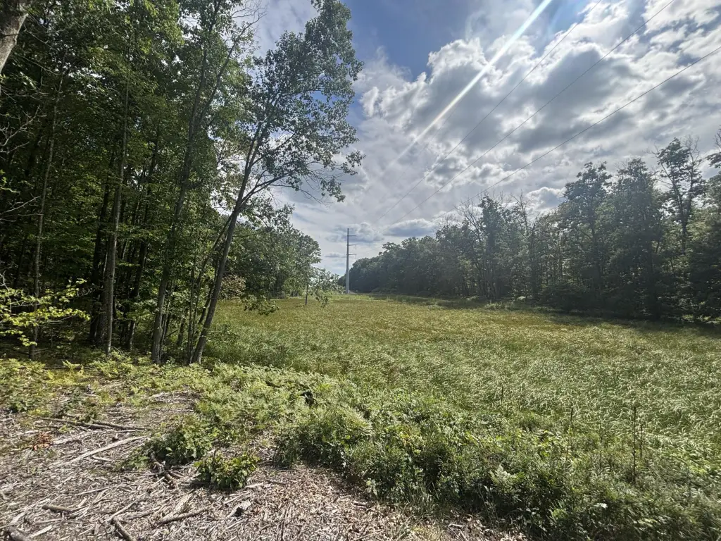 Picture 21
