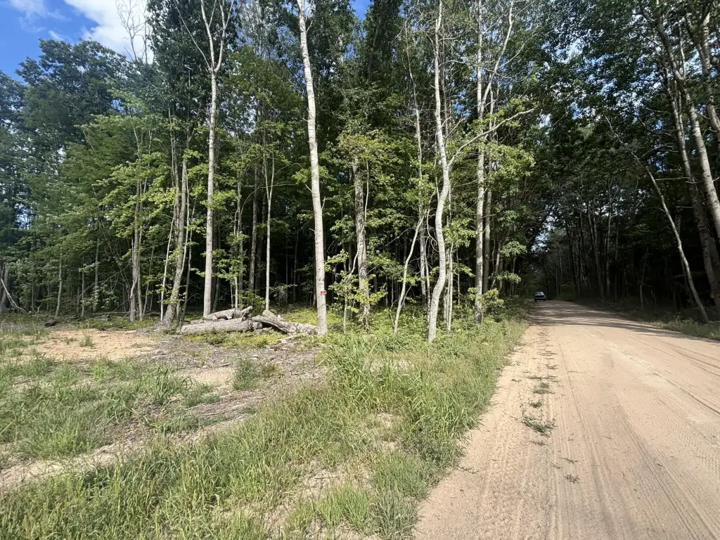 Picture 29