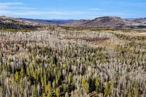 Mountain Land Near National Forest