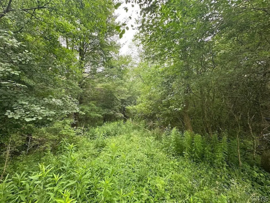 Picture 5