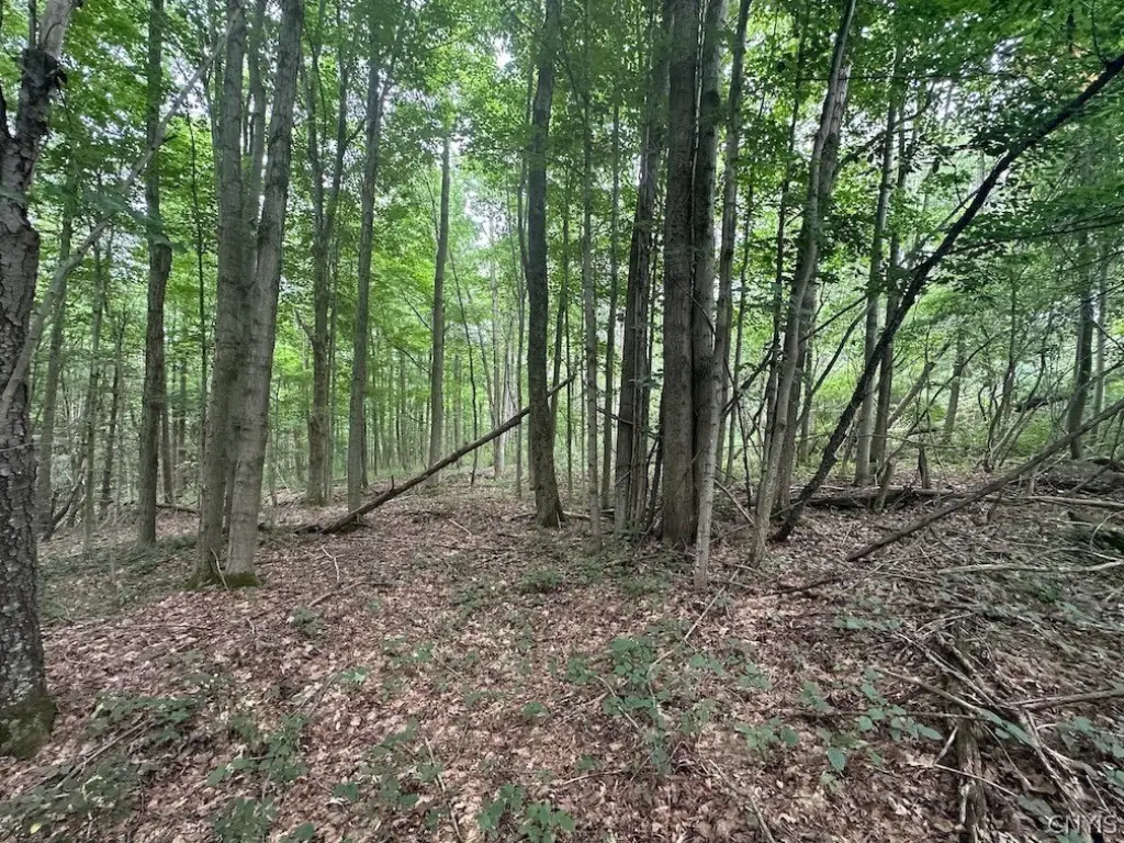 Picture 11