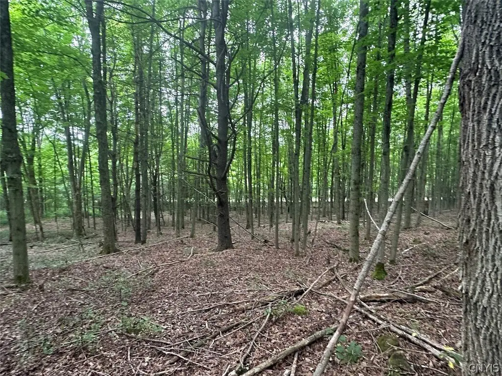 Picture 7