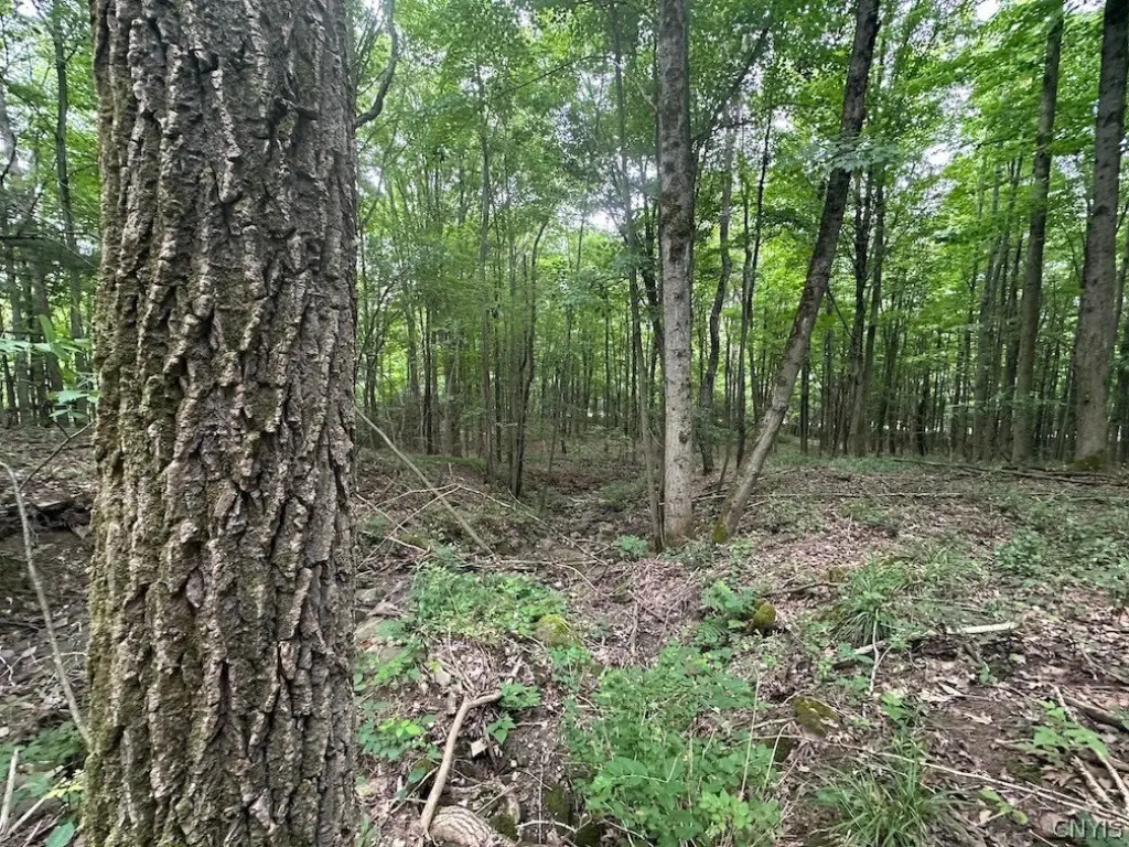 Picture 15