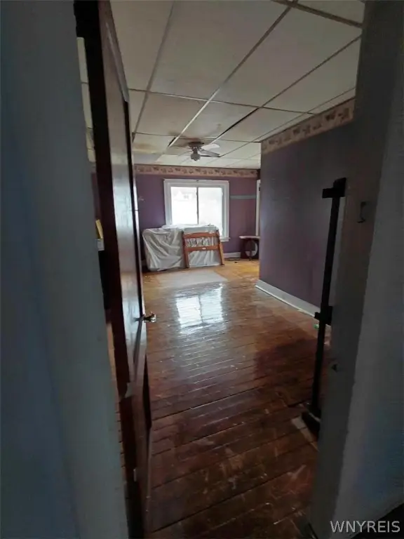 Picture 14