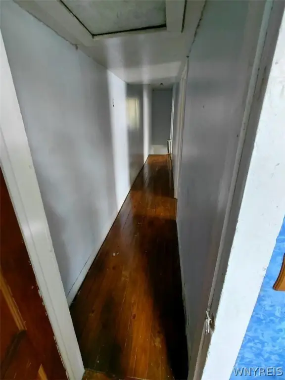Picture 17