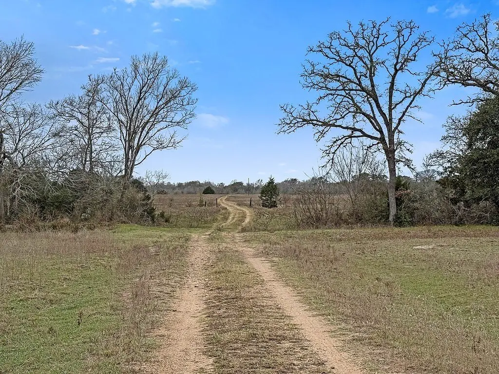 Picture 2