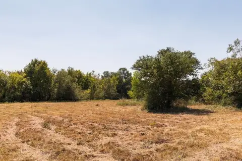 Heavily Wooded Acreage Near Round Top