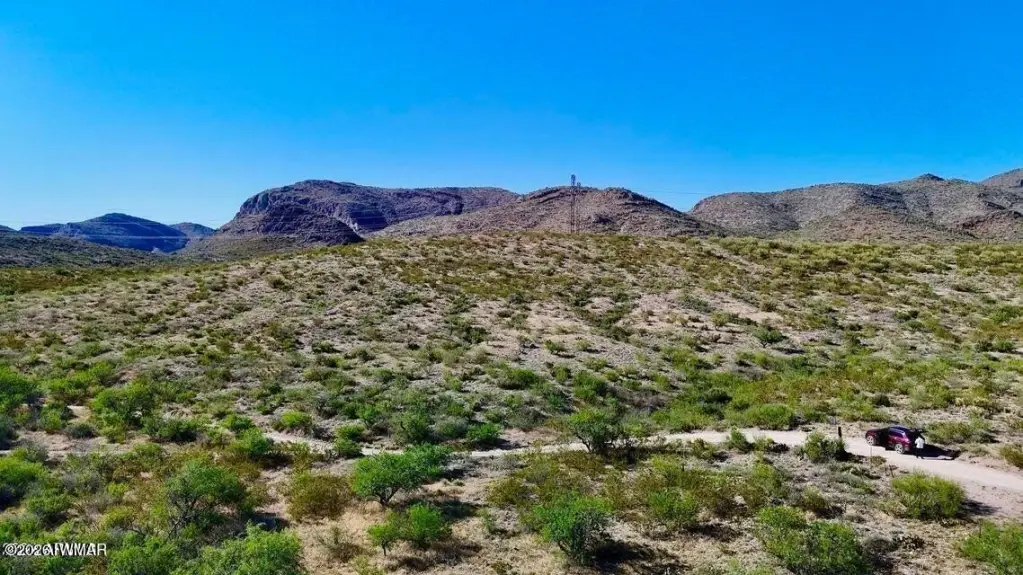 Picture 21