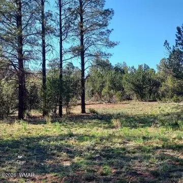 Overgaard Land with Development Potential