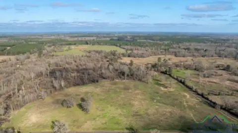 52.85 Acres in Linden, TX