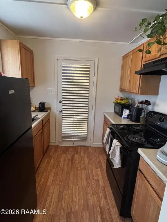 Picture 5