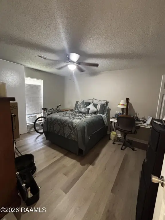 Picture 24