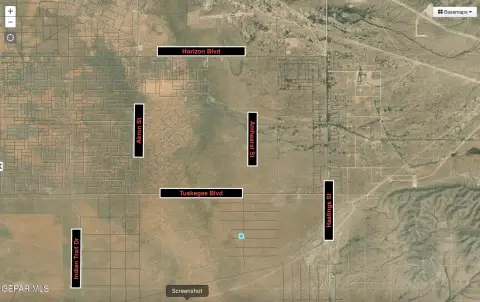 Land Near Horizon City, TX