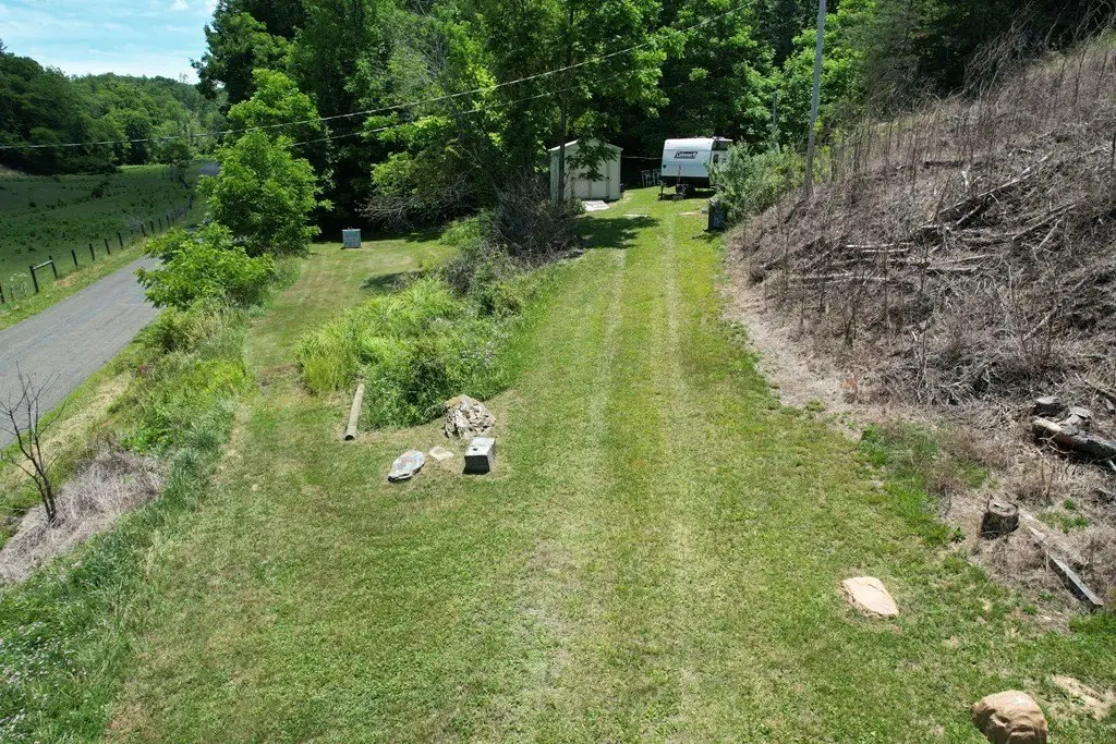 Picture 5