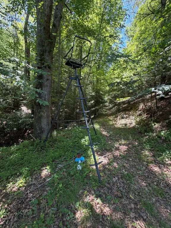 Picture 38