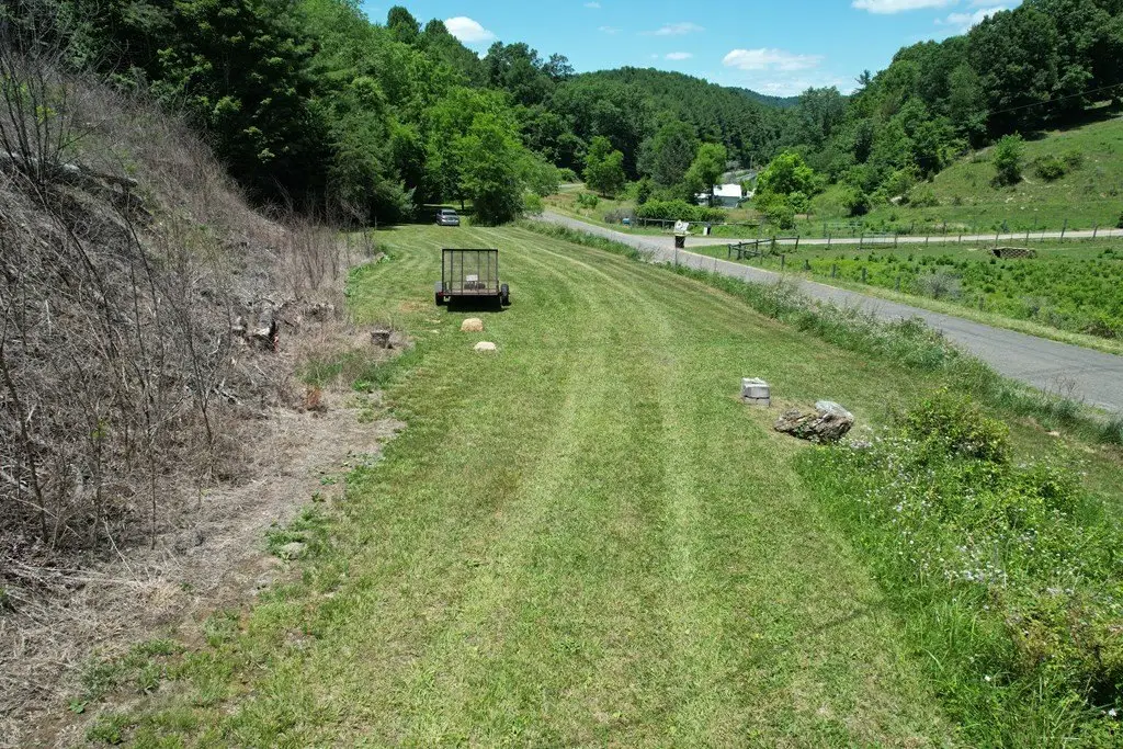 Picture 3