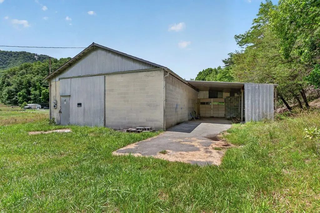 Picture 11