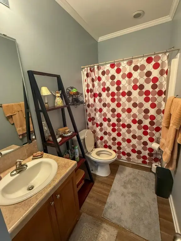 Picture 19