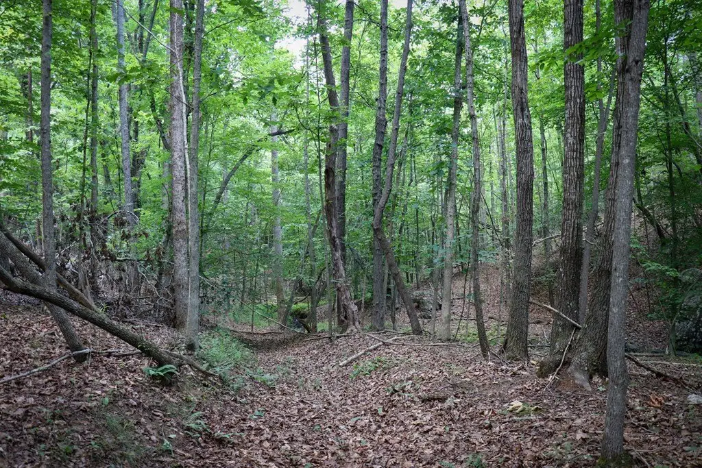 Picture 28