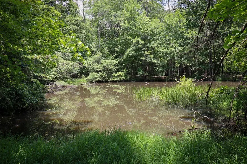 Picture 38